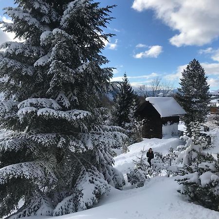 Villa Haus Grimmingblick Zlem Esterno foto