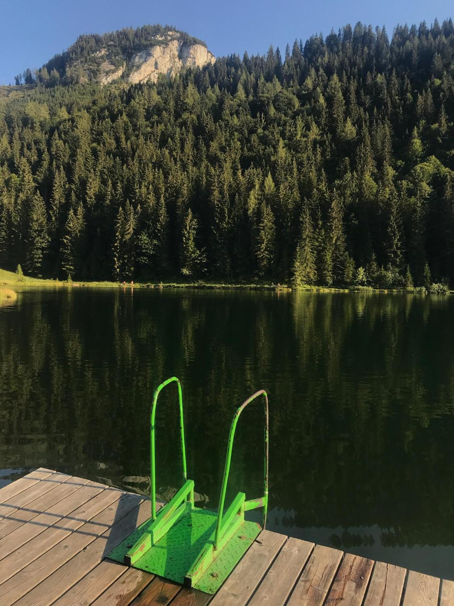 Villa Haus Grimmingblick Zlem Esterno foto