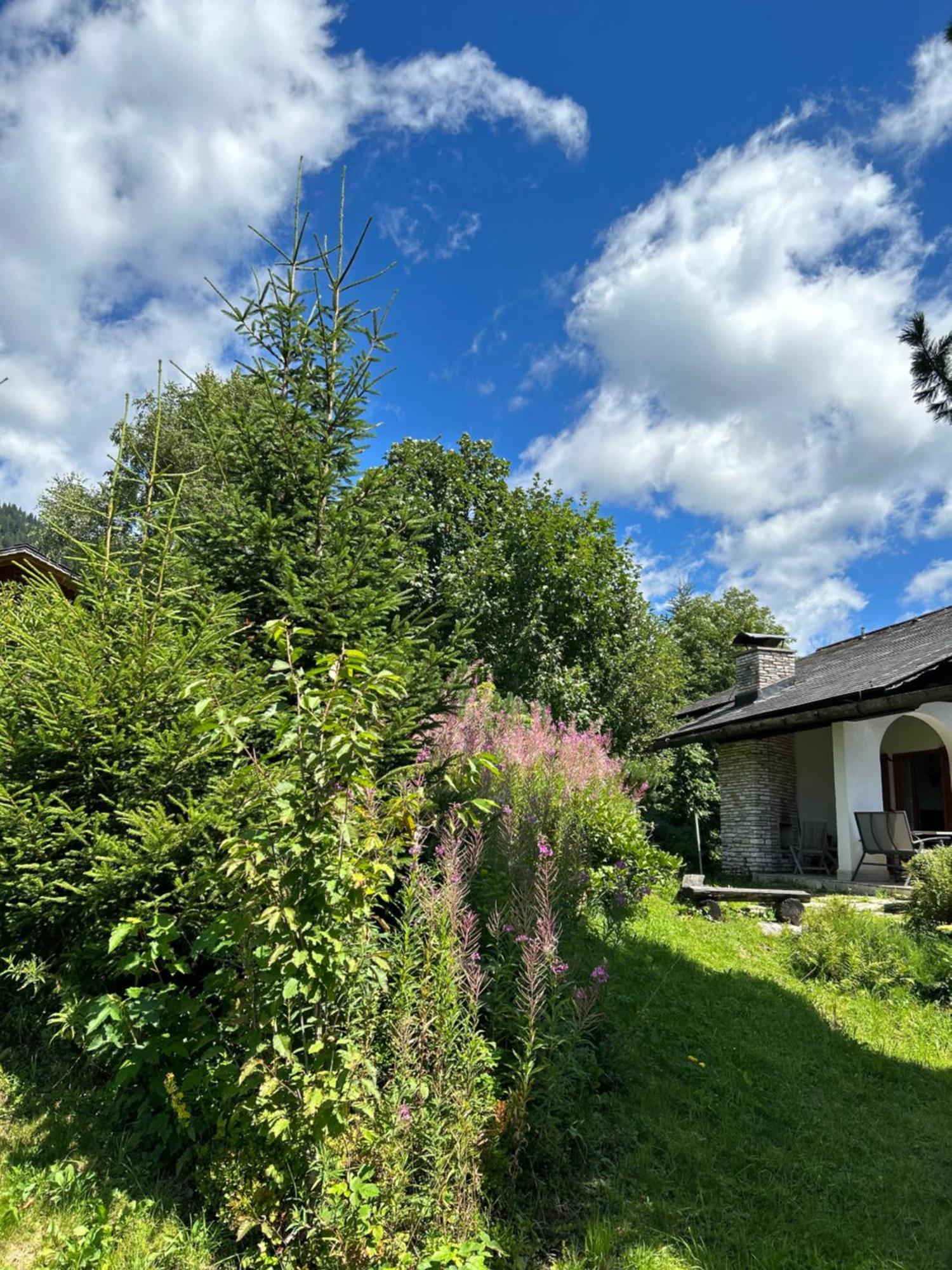 Villa Haus Grimmingblick Zlem Esterno foto